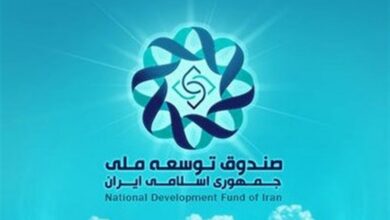 بررسی راهکارهای ایفای نقش صندوق توسعه ملی در رفع ناترازی‌ها