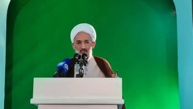 برگزاری دولتی ‌جشن‌های انقلاب ‌به ‌مصلحت نیست