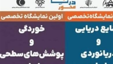 برگزاری همایش ملی توسعه دریا محور در بوشهر