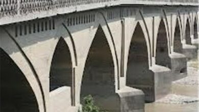 تاکید صالحی امیری بر رسیدگی به پل تاریخی محمدحسن خان بابل
