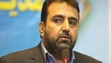 ‌تمرکز فدراسیون بر توسعه شطرنج در استان‌ها