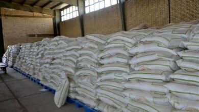 توزیع 260 هزار تن نهاده دامی در چهارمحال و بختیاری