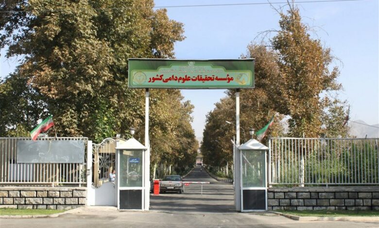 تولید فرم آلی روی با فناوری بومی در موسسه تحقیقات علوم دامی