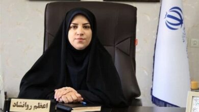 جزئیات اکران فیلم‌های فجر در لرستان