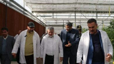 دستور استاندار تهران برای تامین گاز گلخانه‌ای در ورامین