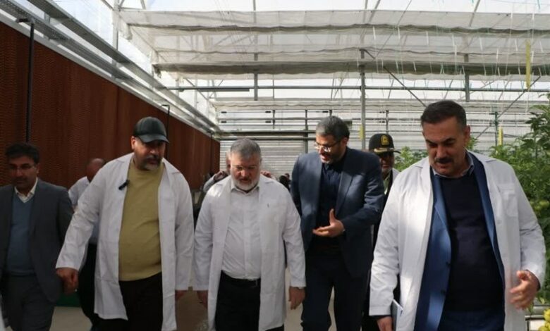دستور استاندار تهران برای تامین گاز گلخانه‌ای در ورامین