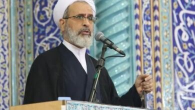دشمن می‌خواهد هویت تاریخی ایرانی‌ها را حذف کند