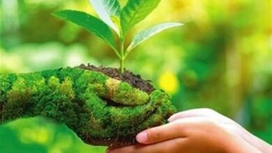 راه‌اندازی اولین خانه محیط زیست مدارس شهدای هسته‌ای کاشان
