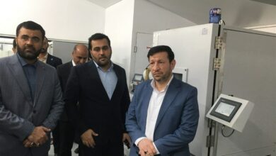 راه‌اندازی خط ریلی بوشهر اقتصاد منطقه را متحول می‌کند