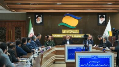 رضایی: زنجیره‌های ارزش، حلقه مفقوده اقتصاد ایران است
