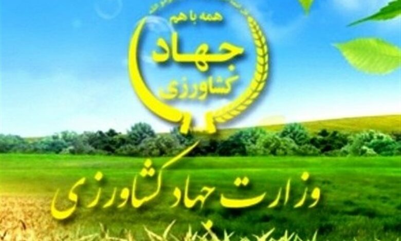 رفع تداخلات در 500 هزار هکتار از اراضی کشاورزی استان مرکزی