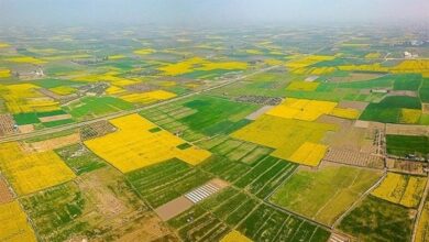 رفع تصرف 924 میلیارد تومانی اراضی ملی در آذربایجان شرقی