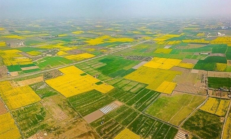 رفع تصرف 924 میلیارد تومانی اراضی ملی در آذربایجان شرقی
