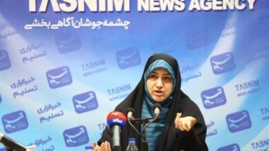 رفیعی: در 6 ماهه امسال به اندازه کل 1402 مازوت مصرف شده است