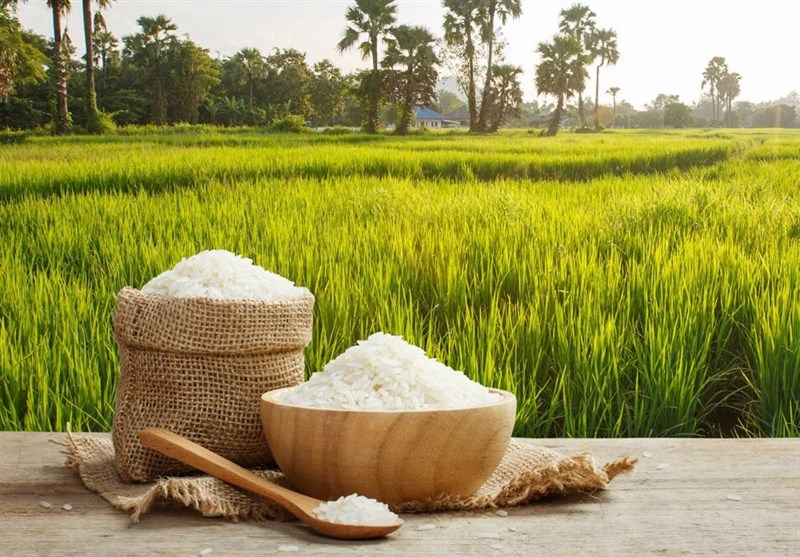 روایتی از پشت‌پرده گرانی برنج/ بازی دلالان برای افزایش قیمت!