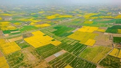 شناسایی 340 هکتار اراضی بایر در استان قزوین