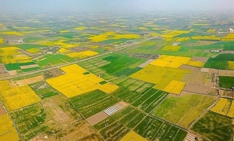 شناسایی 340 هکتار اراضی بایر در استان قزوین