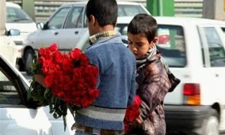 شناسایی 700 کودک کار در استان کرمانشاه