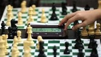 «صادق اشرفی» رئیس هیئت شطرنج استان اردبیل شد