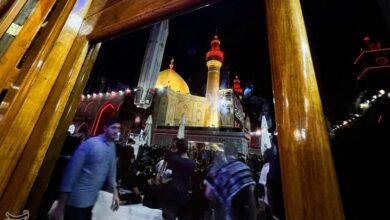 فضایل امیرالمؤمنین(ع) در کلام امام حسین(ع)
