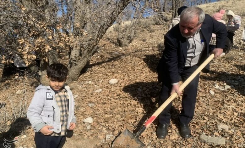 محور گردشگری اردبیل – سرعین درختکاری می‌شود