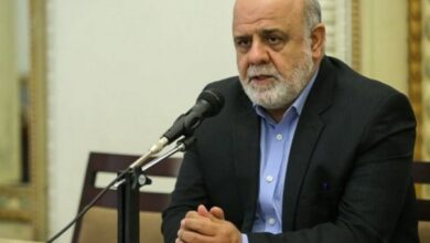 مسجدی: شهید حکیم عالم مجاهد و ‌مبارز و سیاسی بود