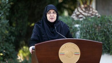 مهاجرانی: سند همکاری با روسیه برای ما اهمیت دارد