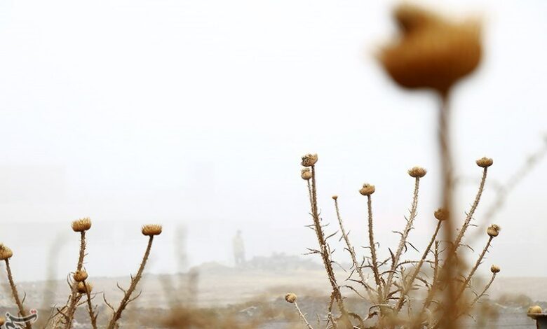 مه‌گرفتگی در محور زنجان ـ قزوین