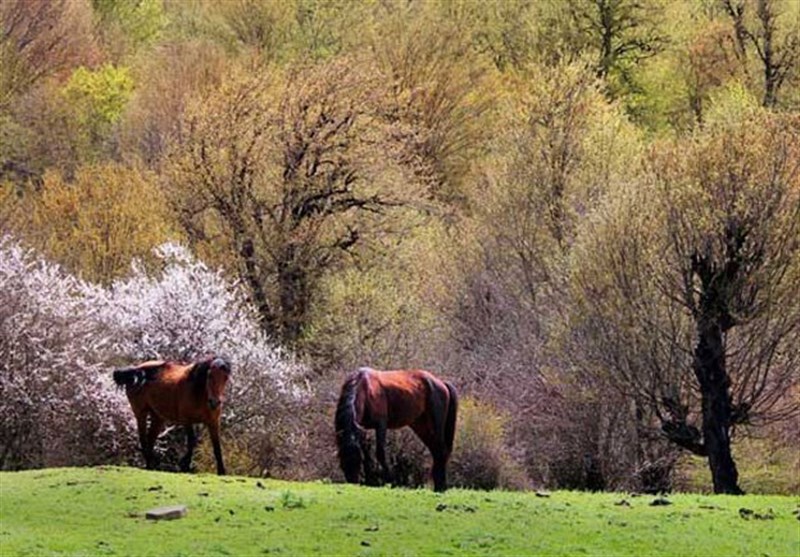 نجات صنعت گردشگری با 