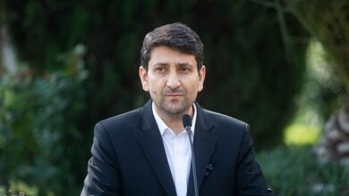 هاشمی: تصمیم‌گیری درباره رفع فیلترها صرفاً بر عهده دولت نیست