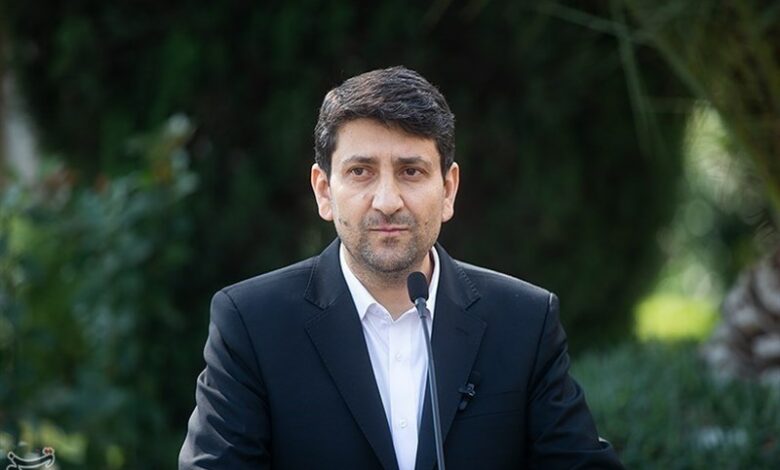 هاشمی: تصمیم‌گیری درباره رفع فیلترها صرفاً بر عهده دولت نیست