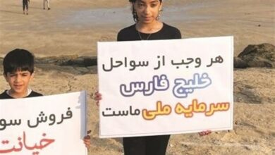 واگذاری ساحل در حریم خلیج فارس تکذیب شد