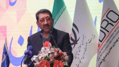 وزیر صمت: تجارت چمدانی و کوله‌بری را تسهیل می‌کنیم