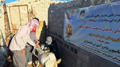 پایش 14 هزار واحد صنعتی و سنتی دام و طیور در زنجان