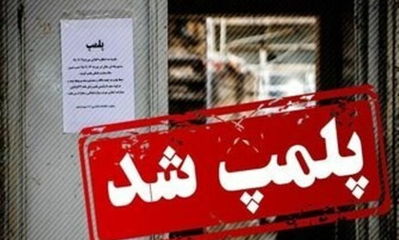 پلمپ 10 وسیله بازی غیراستاندارد در شهربازی زابل