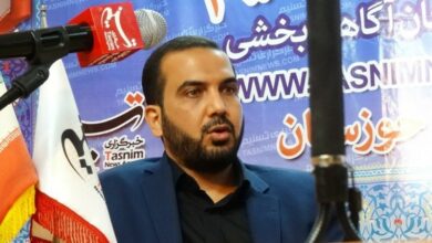 چرا پل عناقچه خوزستان به سرانجام نرسید؟/ کارشکنی صنایع!