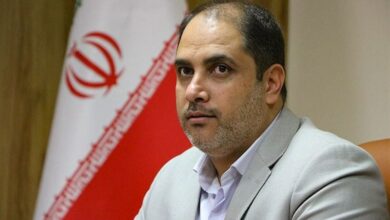 کرمان میزبان همایش بلور و کانی‌شناسی ایران شد‌