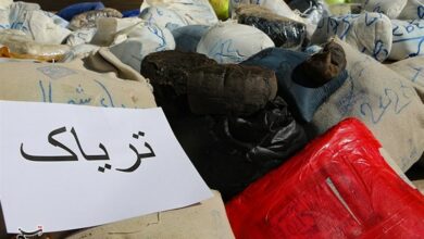 کشف 800 کیلوگرم انواع مواد افیونی در مرزهای سیستان وبلوچستان