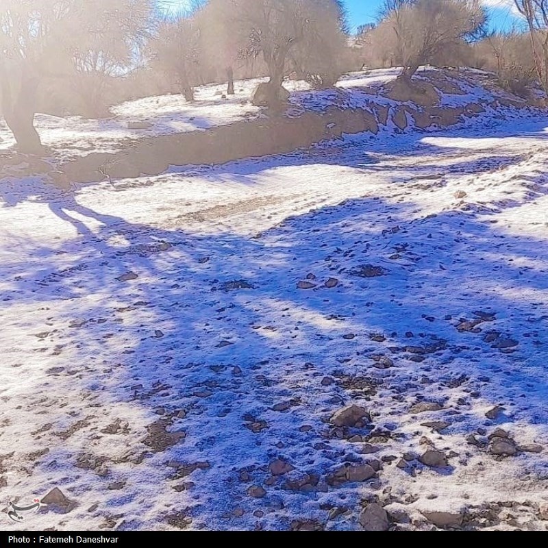 یخبندان در کوهشاه؛ مردم در انتظار تأمین نفت هستند