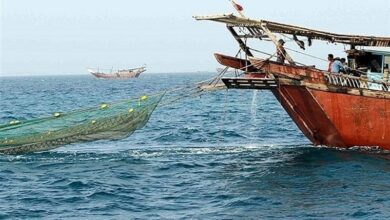 2 شناور صیادی متخلف ترال در سواحل بوشهر توقیف شد