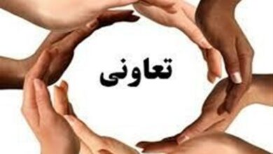 785 تعاونی در اردبیل فعالیت می‌کنند