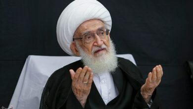 آیت‌الله نوری‌همدانی: امام سجاد اسلام را از انحراف جدا کردند