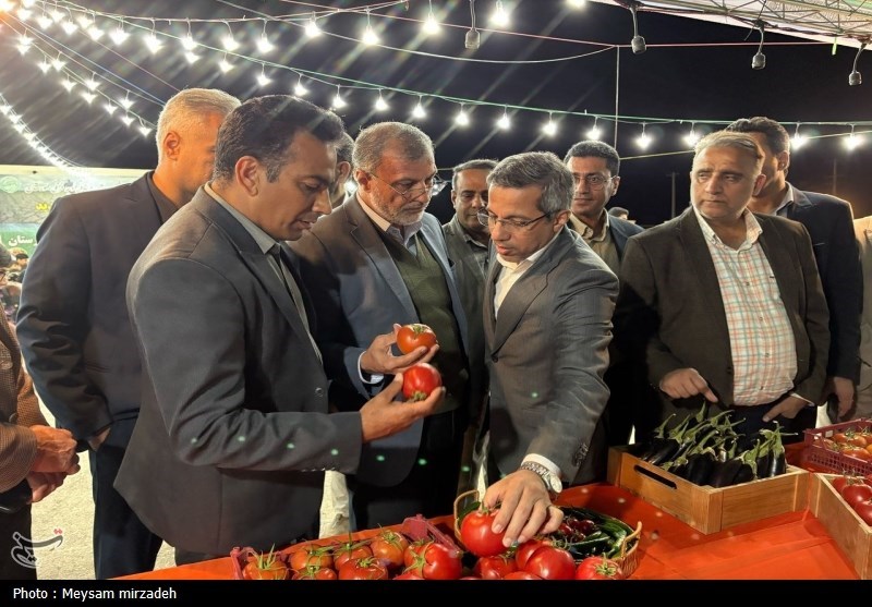 استقبال پرشور مردمی از جشنواره گوجه فرنگی کهورستان+تصاویر