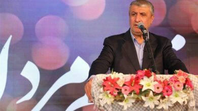 اسلامی: مراکز پرتودهی در کل ایران توسعه می‌یابد