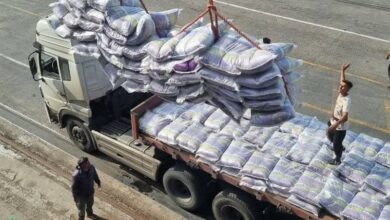 افشای نماینده مجلس از واردات 1.3 میلیون تن برنج خارجی