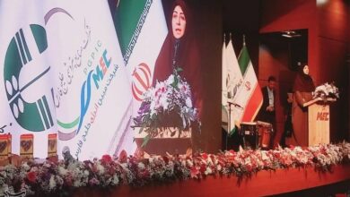 انصاری: دیدگاه دولت مشارکت مردم در حل مشکلات محیط زیستی است
