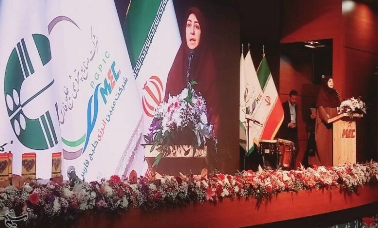 انصاری: دیدگاه دولت مشارکت مردم در حل مشکلات محیط زیستی است