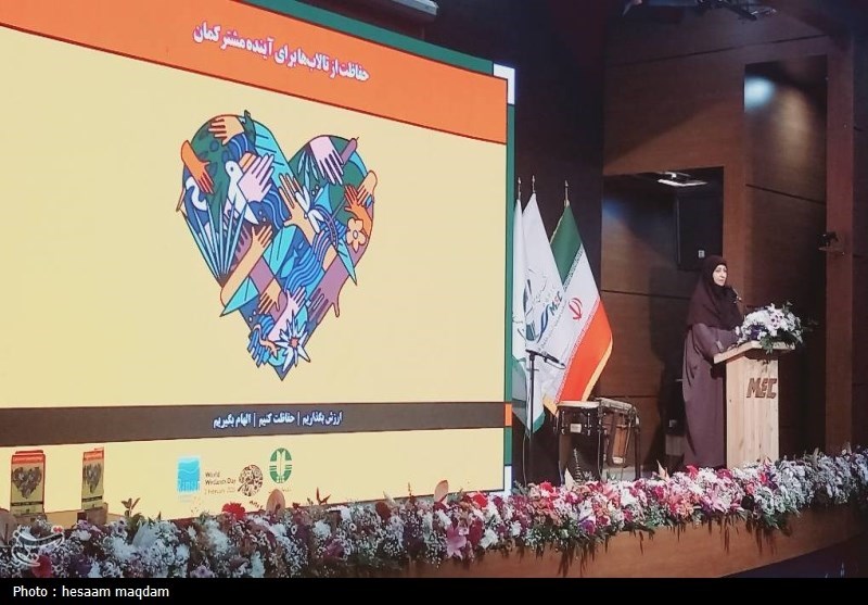 انصاری: دیدگاه دولت مشارکت مردم در حل مشکلات محیط زیستی است