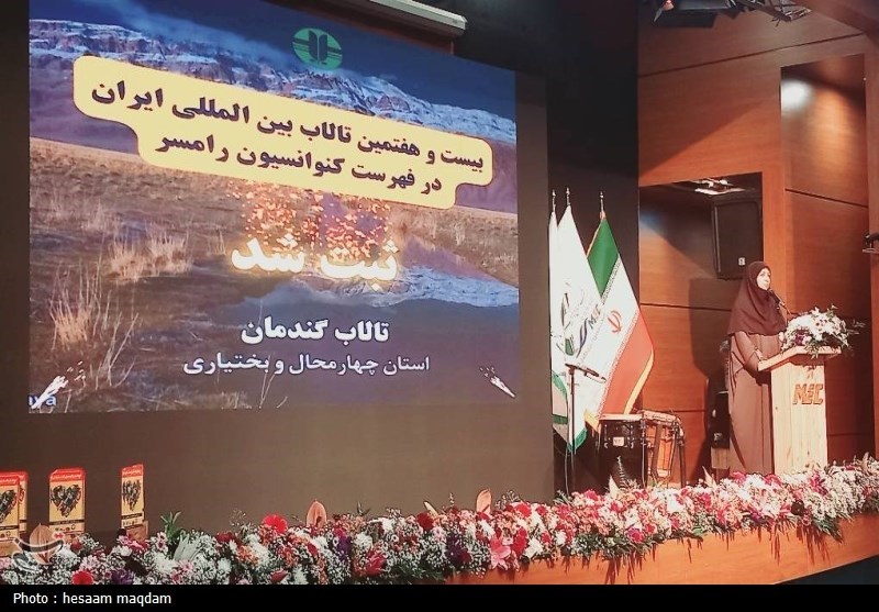 انصاری: دیدگاه دولت مشارکت مردم در حل مشکلات محیط زیستی است