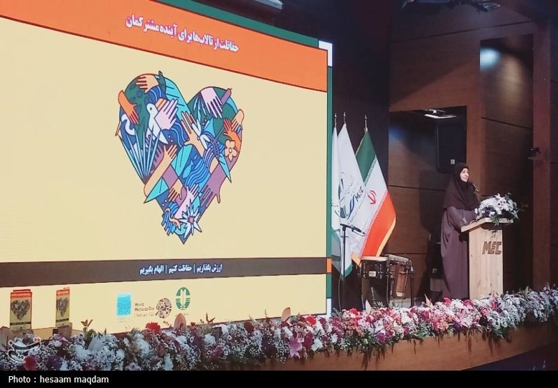 انصاری: دیدگاه دولت مشارکت مردم در حل مشکلات محیط زیستی است